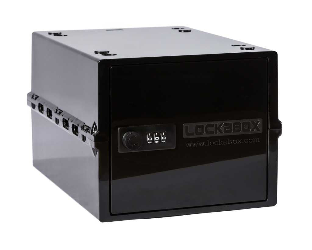 BuzzPinky Lockabox® Adult toy storage BuzzPinky