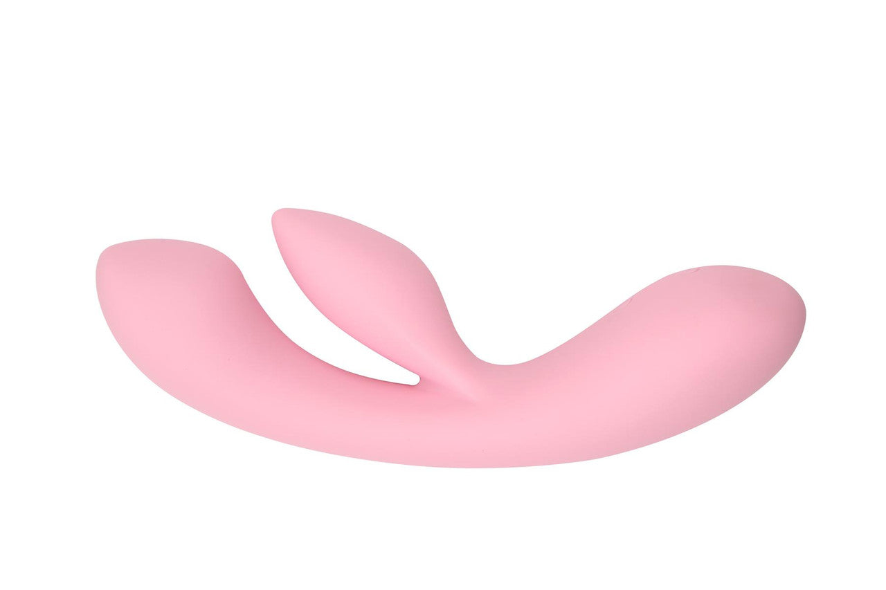 Dual Fulfill Bunny