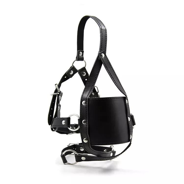 BuzzPinky Black Solid Sinner Gag