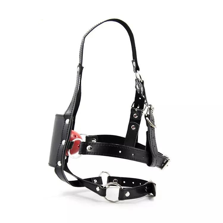 BuzzPinky Black Solid Sinner Gag