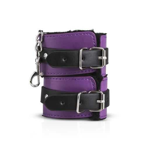 Bondage Kit Secret Pleasure Chest - Purple Apprentice EDC