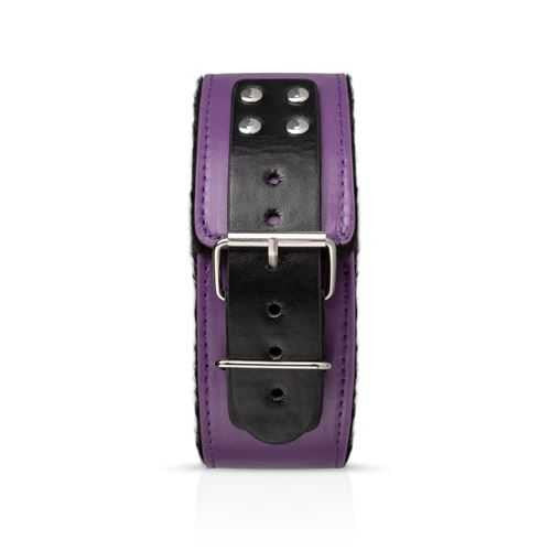 Bondage Kit Secret Pleasure Chest - Purple Apprentice EDC