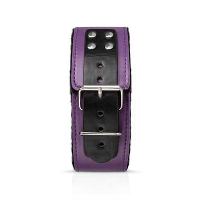 Bondage Kit Secret Pleasure Chest - Purple Apprentice EDC