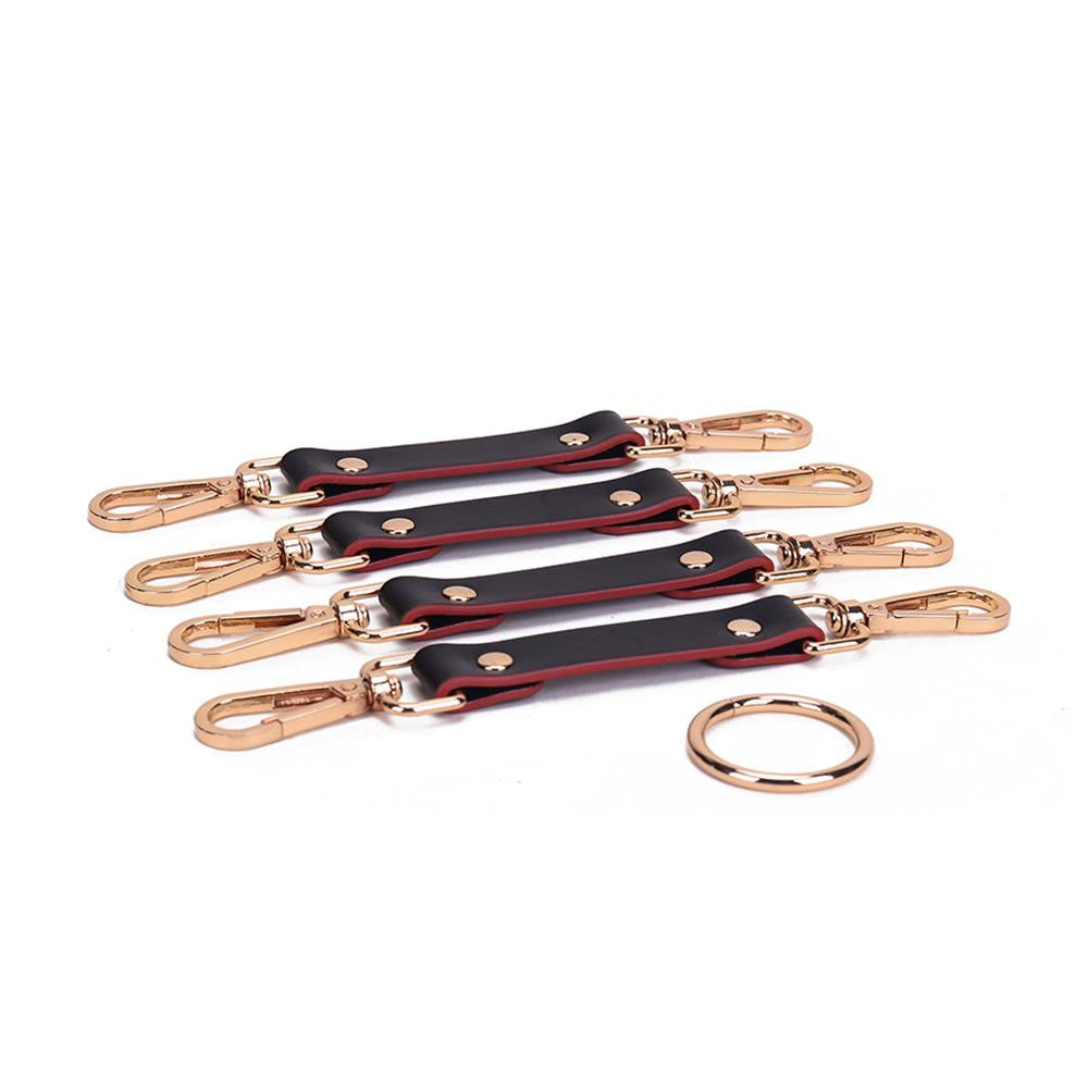 BuzzPinky Kiss & Cage Bondage Kit #002 kiss&cage