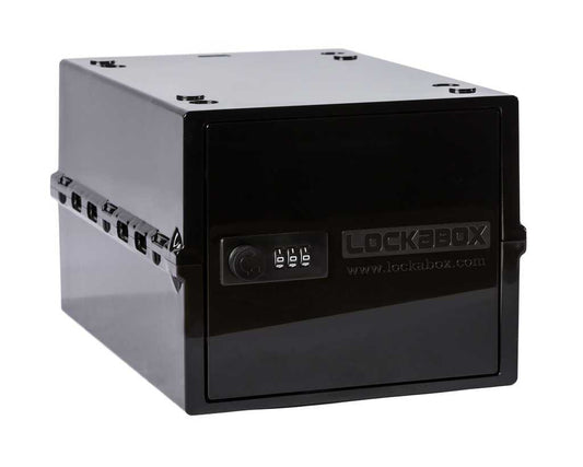 BuzzPinky Lockabox® Adult toy storage BuzzPinky