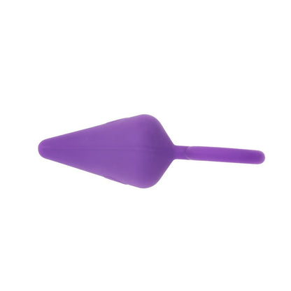 Candy Butt Plug Purple (Various Sizes) chisa
