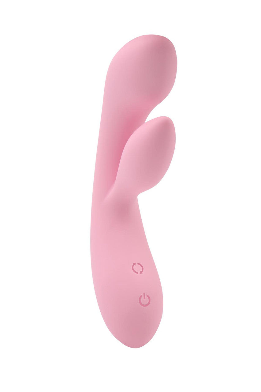 Dual Fulfill Bunny