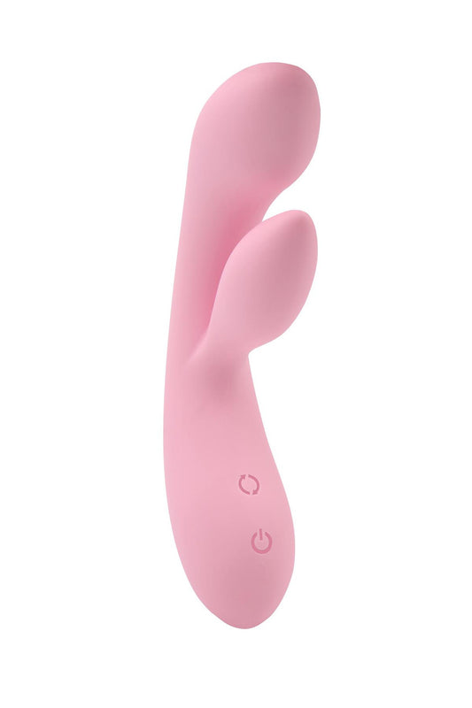 Dual Fulfill Bunny