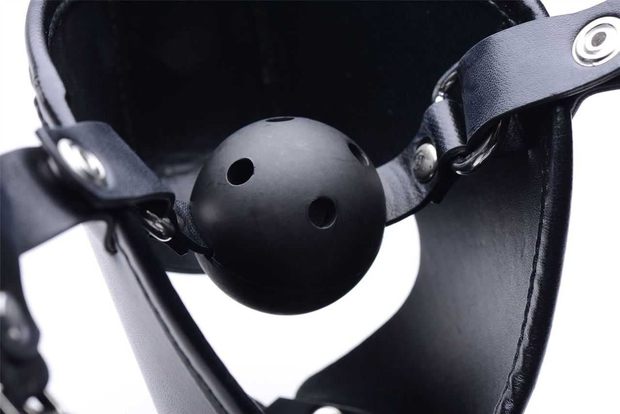 Master Series Pup Puppy Play Hood + Breathable Ball Gag Master Series