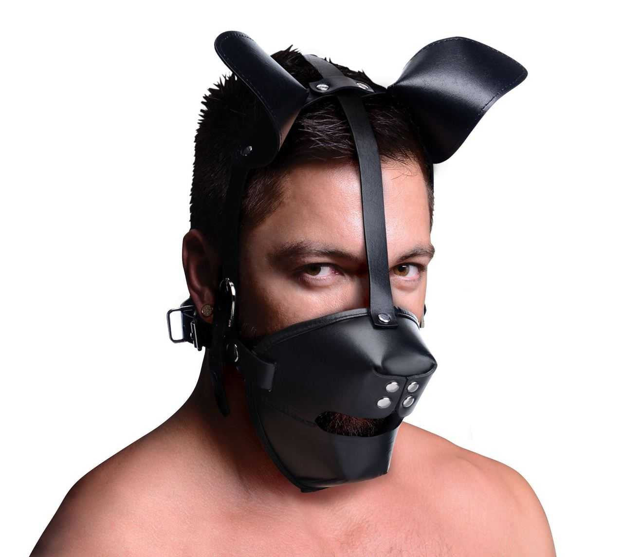 Master Series Pup Puppy Play Hood + Breathable Ball Gag Master Series